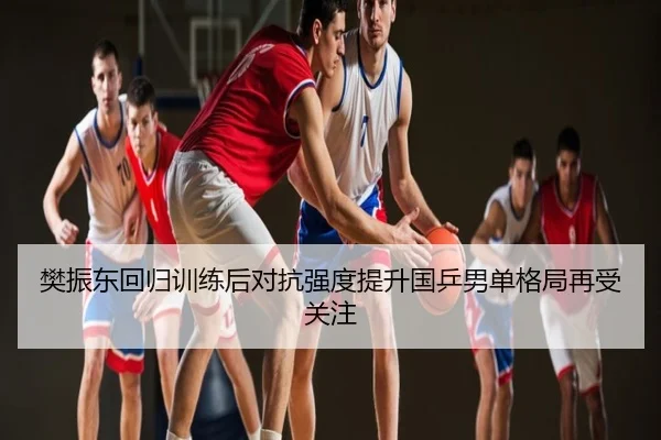 樊振东回归训练后对抗强度提升国乒男单格局再受关注